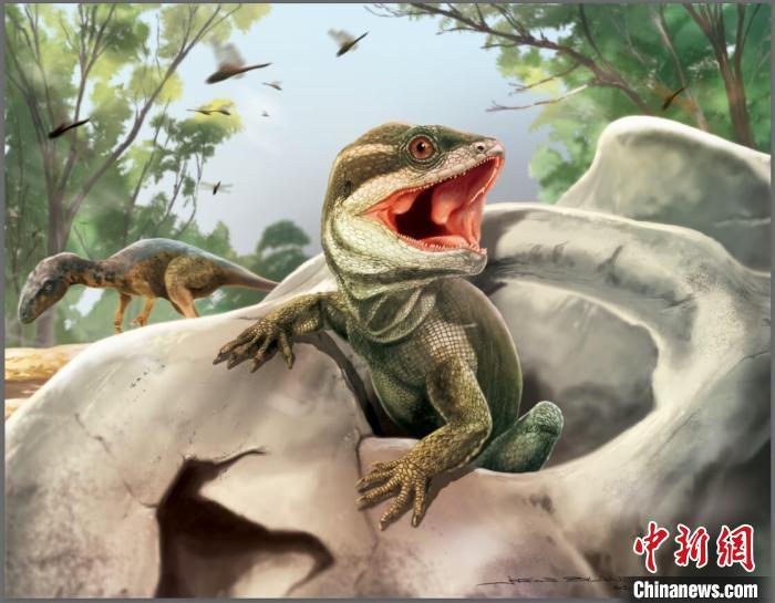 《自然》:阿根廷约2.31亿年前一化石揭示鳞龙类崛起