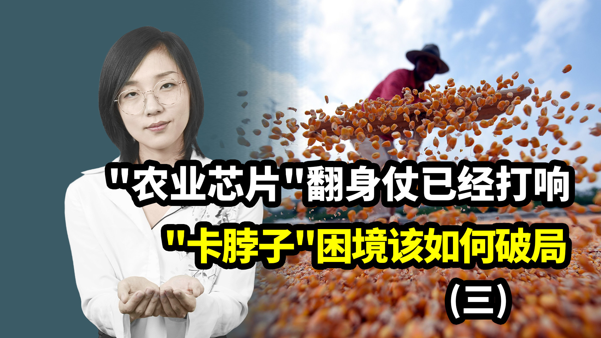 “农业芯片”翻身仗已经打响，“卡脖子”困境该如何破局？（三）