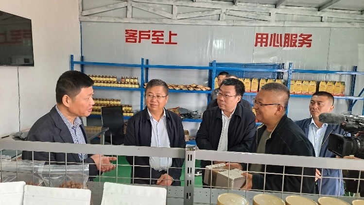 招商银行兰州分行行长倪佳（左一）调研招银草地村中药材农民专业合作社 招商银行兰州分行供图