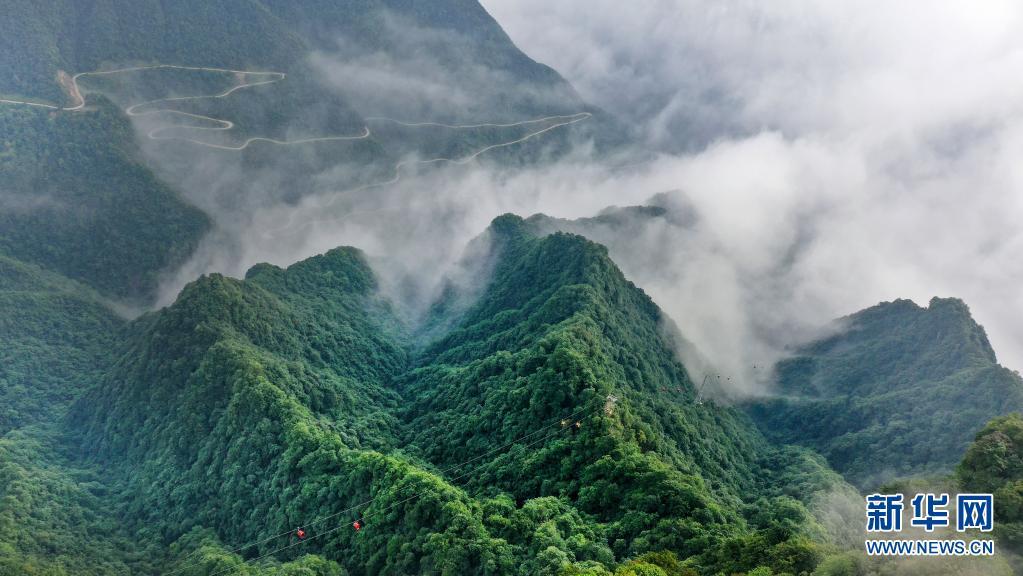 位于川陕交界的陕西省汉中市南郑区龙头山旅游景区四季云雾缥缈,若隐