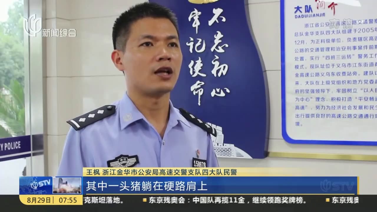 浙江金华"二师兄"跳车险象环生 高速交警全力"抓捕"