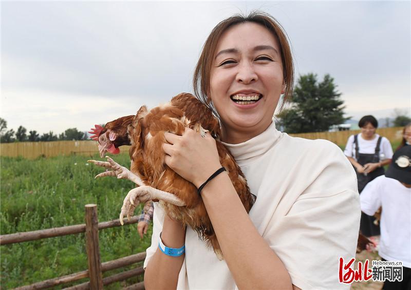 8月28日，在河北省怀来县东篱农场，家长和孩子一起参加抓鸡游戏，亲情互动，乐享假期。通讯员孙慧军、苑贺、刘佳洋摄影报道