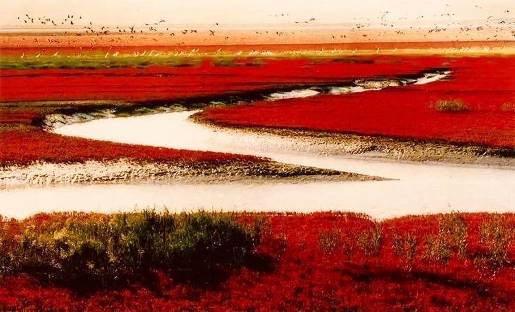 阮莲芬诗词欣赏：黄河放歌