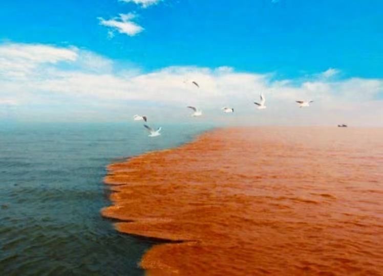 阮莲芬诗词欣赏：黄河放歌