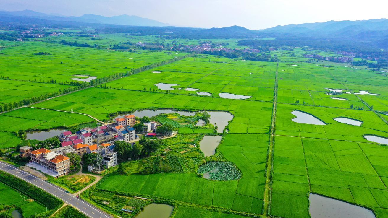 吉水县强化农业科技和装备支撑，依托乡村公路，实现城乡互补，擘画出一幅美丽生态画卷。