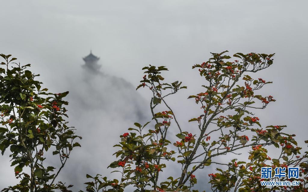 川陕交界景如画云卷云舒龙头山