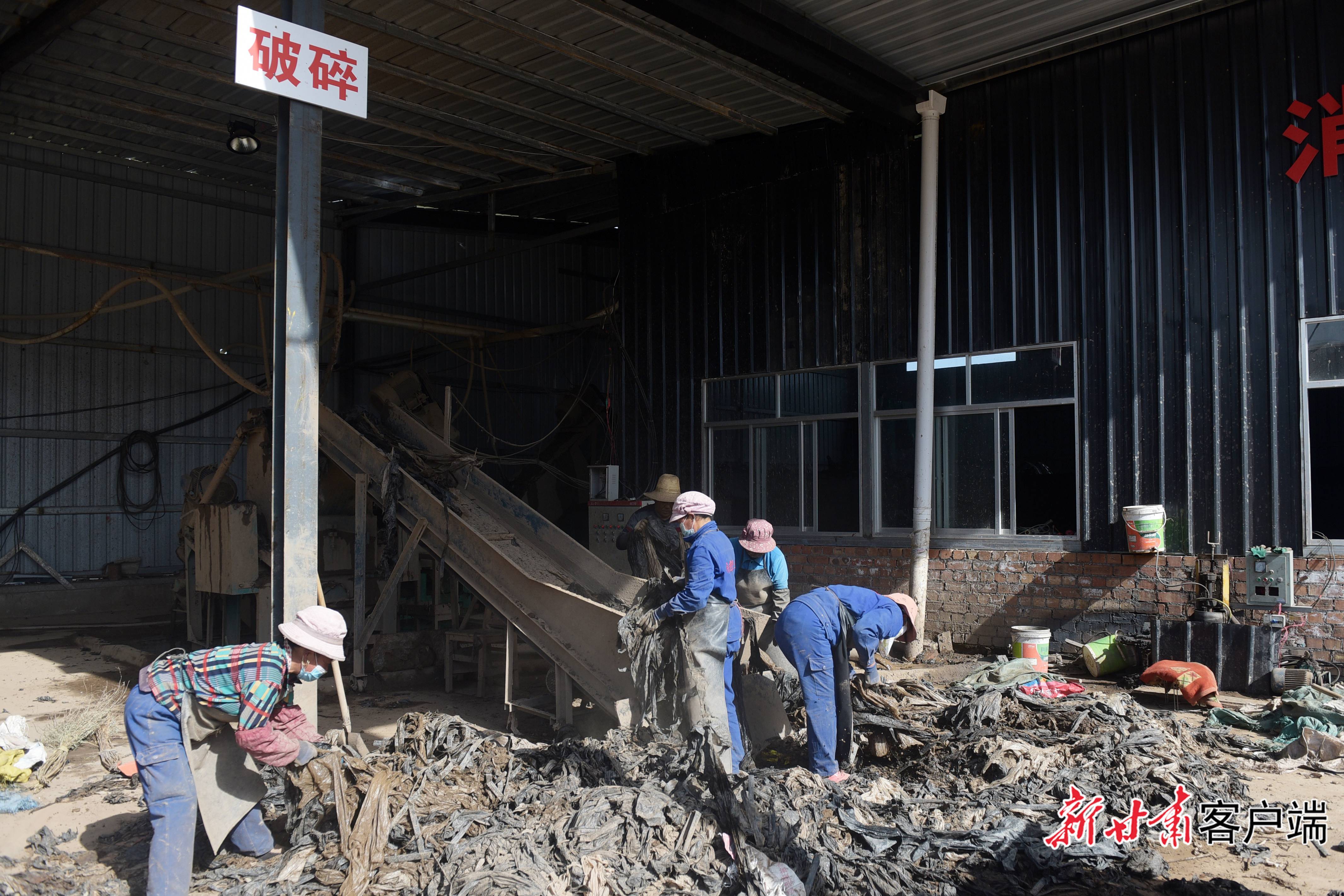 临潭县祥龙废旧地膜回收加工厂。新甘肃&middot;甘肃日报记者 韦德占