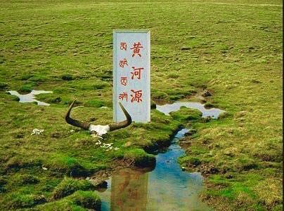 阮莲芬诗词欣赏：黄河放歌