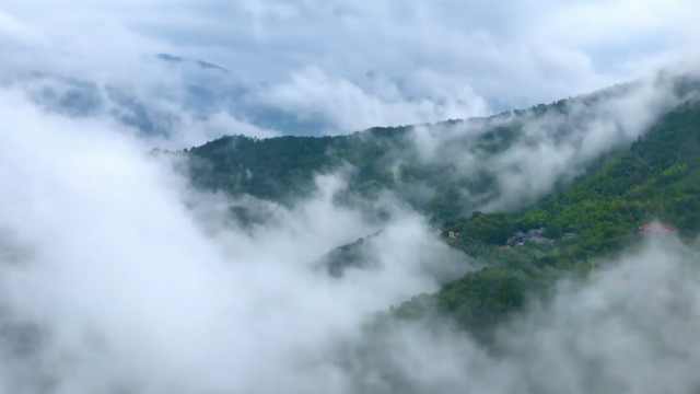 江西大余丫山欢迎您