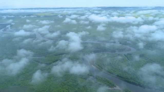 航拍“亚洲第一湿地”晨雾笼罩，宛如步入仙境