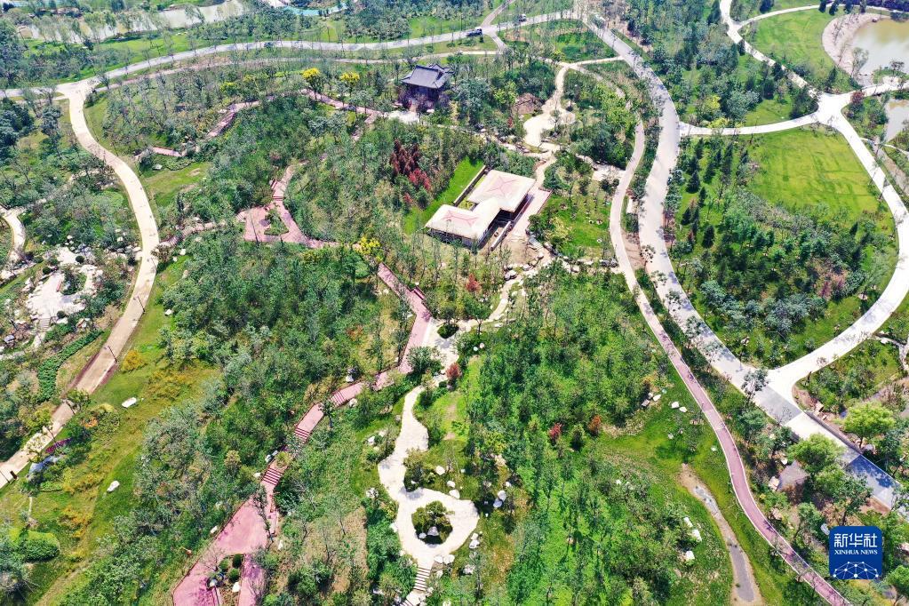 这是雄安新区悦容公园北苑内的景色(9月1日摄,无人机照片)。