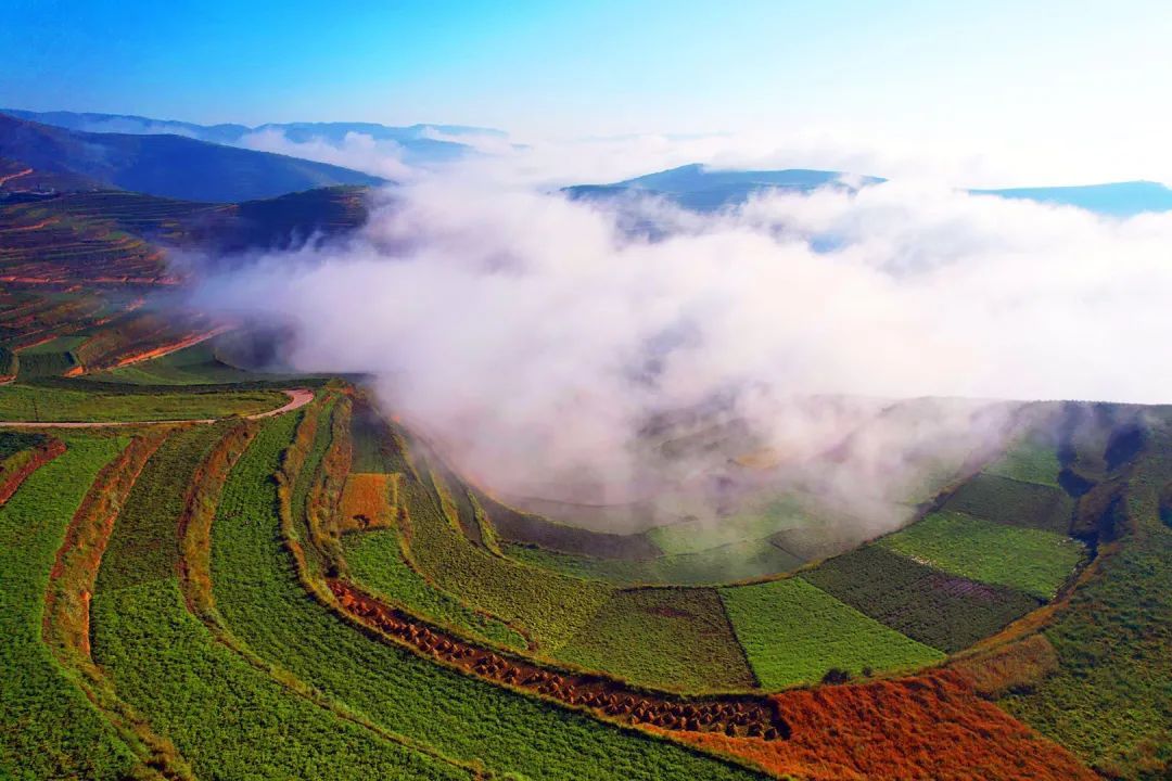 药田红霞点燃了一道道山梁一轮红日冉冉升起在凌晨微凉的清风里错落有