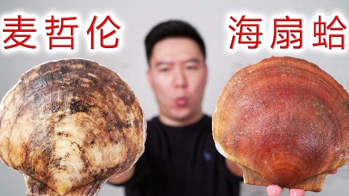 麦哲伦海扇蛤，比巴掌还大，用独家秘制蒜蓉酱烤太香了