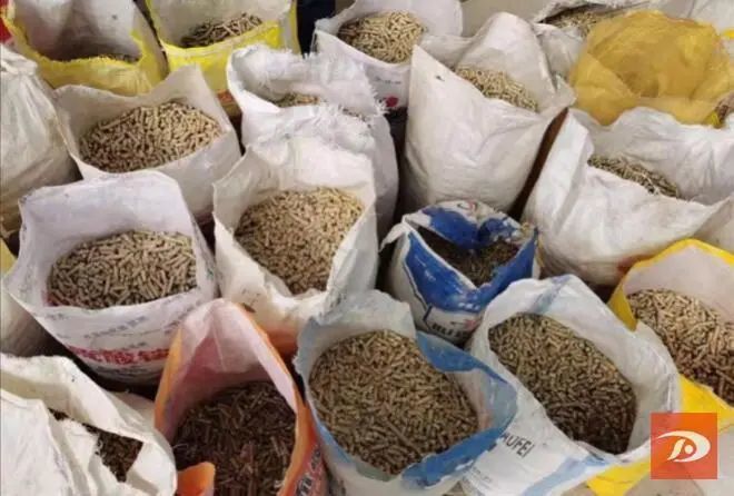 变“废”为“宝”！敦煌秸秆饲料化利用量将超16万吨