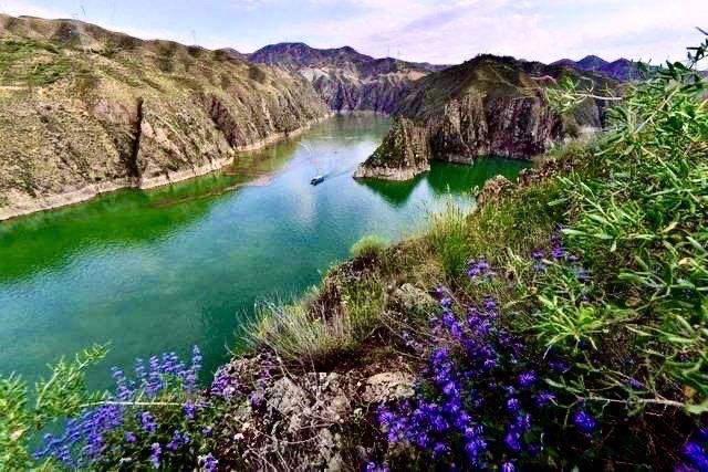 阮莲芬诗词欣赏：黄河放歌