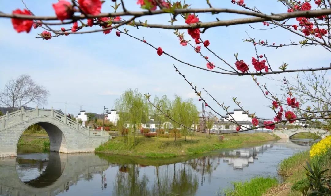 甘港村按照"生态家园,乡村旅游,专业市场"的发展定位,重点建设"一园三