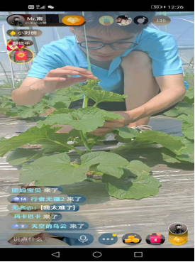 图5 瓜棚直播