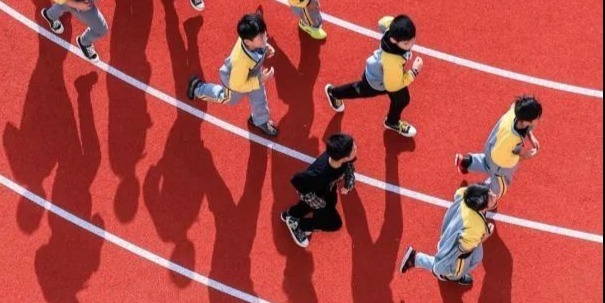 提供实时比分与深度分析