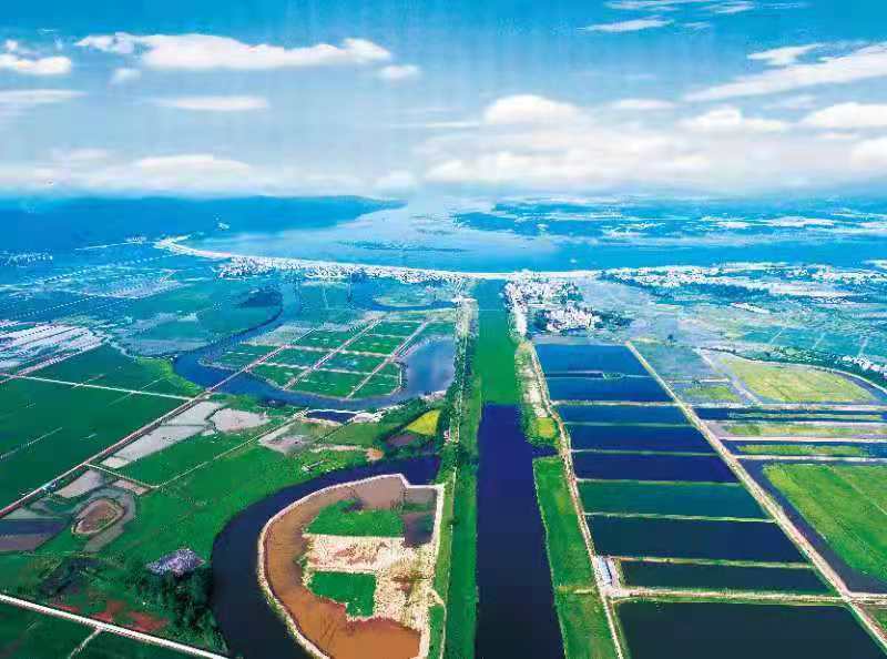 盘谷同江万亩稻渔基地