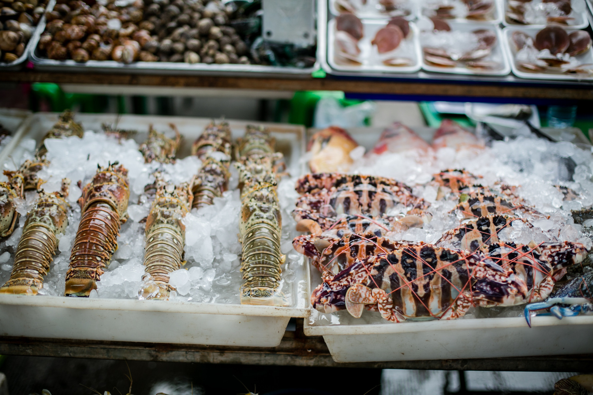 为保开海后海产品质价安全即墨区加强海产品市场监管