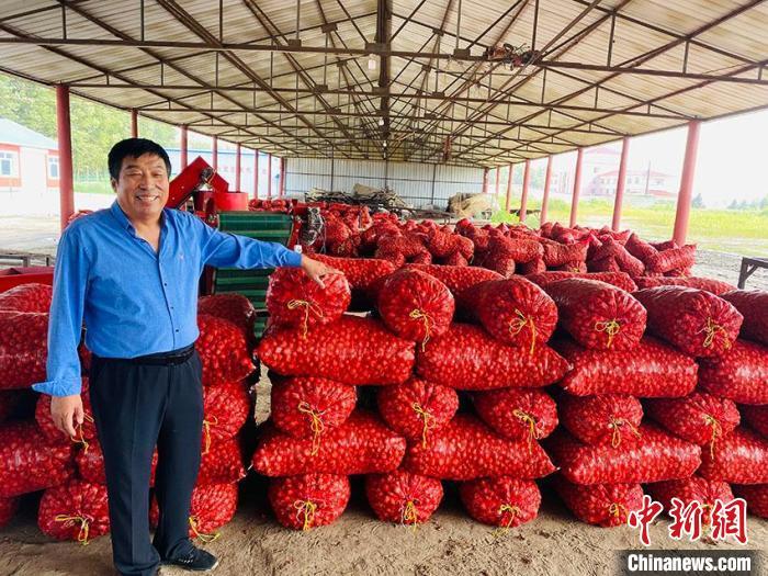 守奎“三辣”种植专业合作社理事长杨守奎，看着一摞摞打包好的珠葱充满喜悦。　李丹 摄