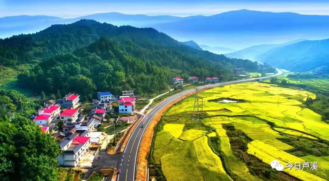 萍乡芦溪县推进乡村振兴向纵深发展