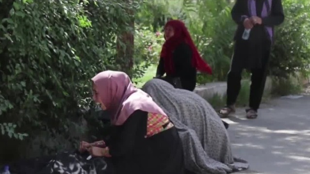 塔利班答凤凰记者问 称美国带给阿的影响有好有坏