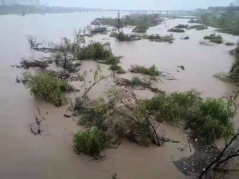 严阵以待防大汛嵩县多座大桥交通管制车辆禁止通行