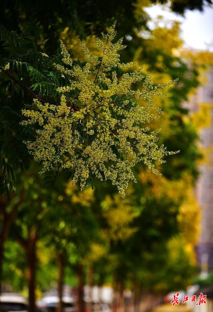 点击查看高清原图