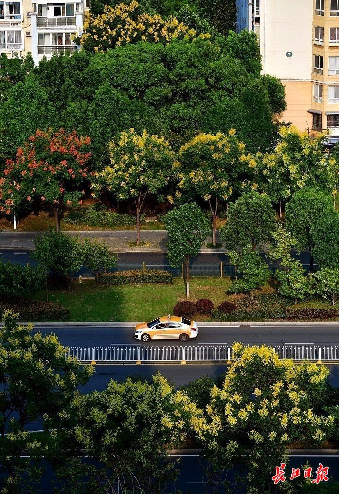 点击查看高清原图