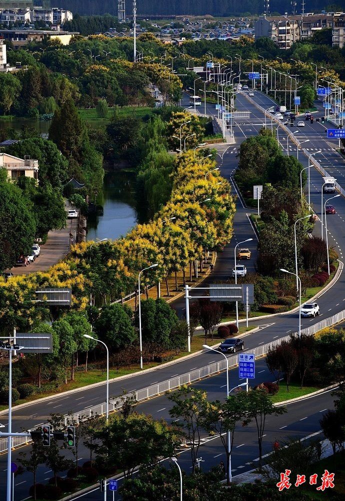 点击查看高清原图