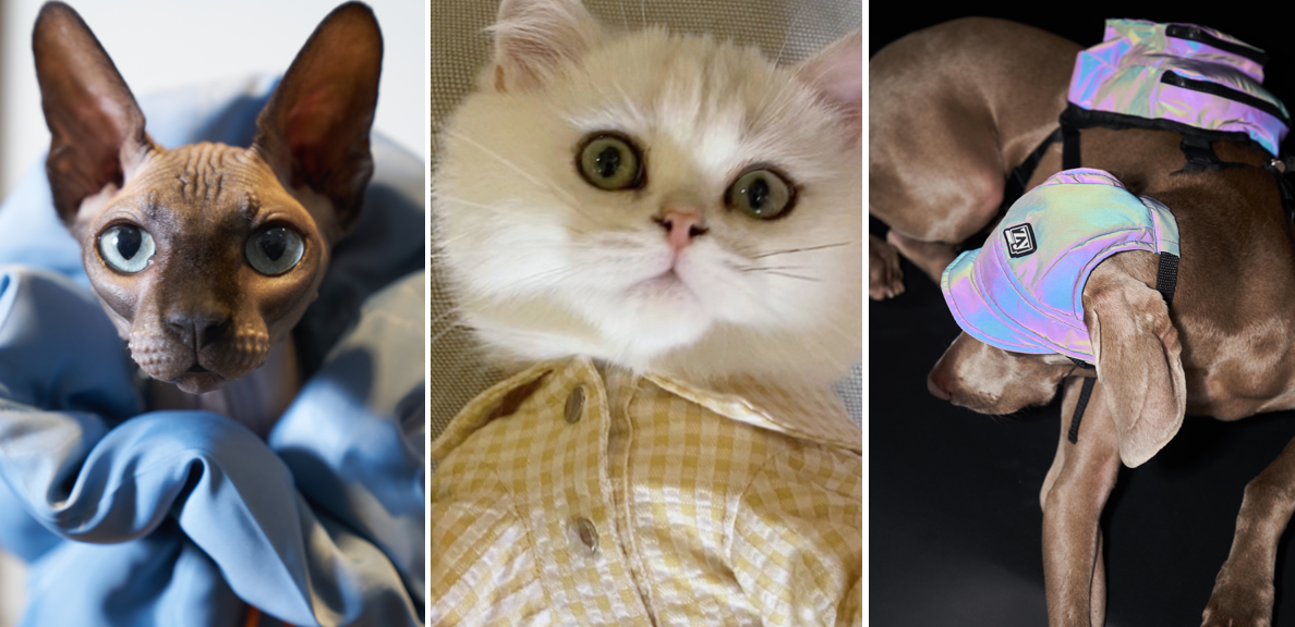 LAZY EAZY “买家秀”