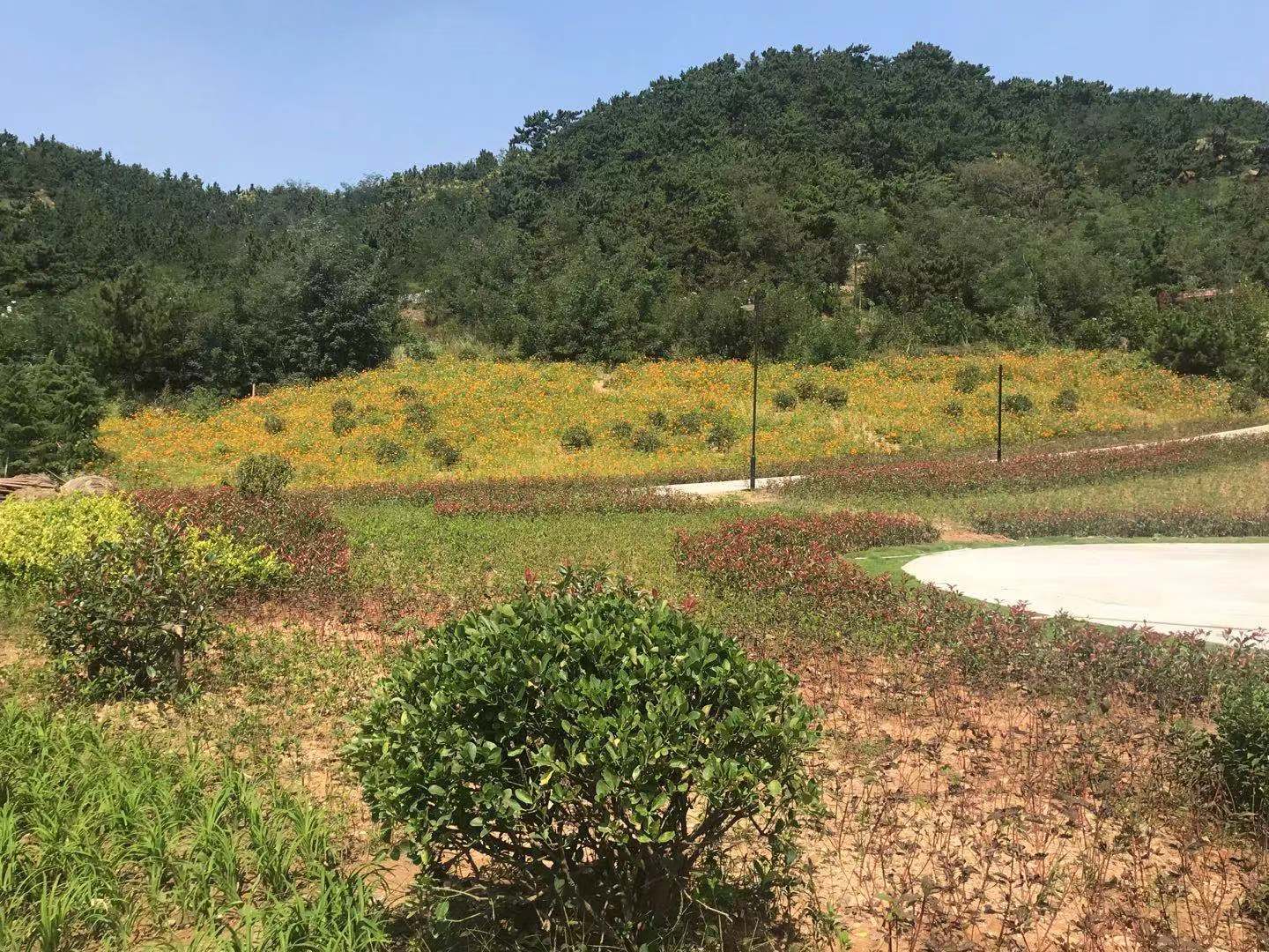 李沧区老虎山公园即将竣工开园