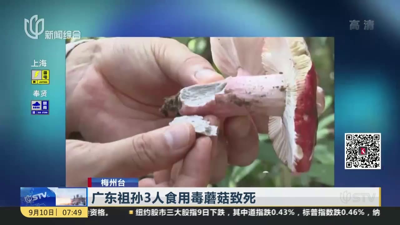 广东祖孙3人食用毒蘑菇致死