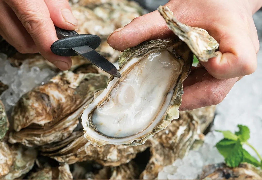 蚝英雄通州店盛大开业,开启生蚝自由新生活