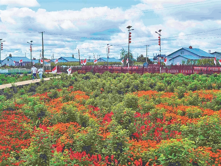 坤站村花园.