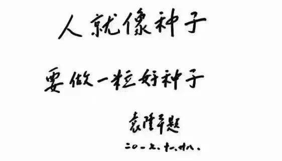 梦想的种子在远方今天深情缅怀袁隆平诞辰91周年