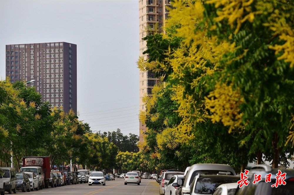 点击查看高清原图