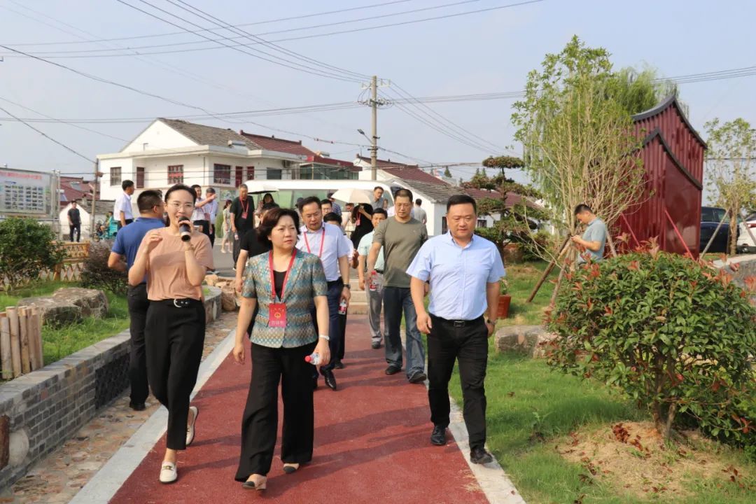 镇江市人大代表视察丹阳美丽乡村建设