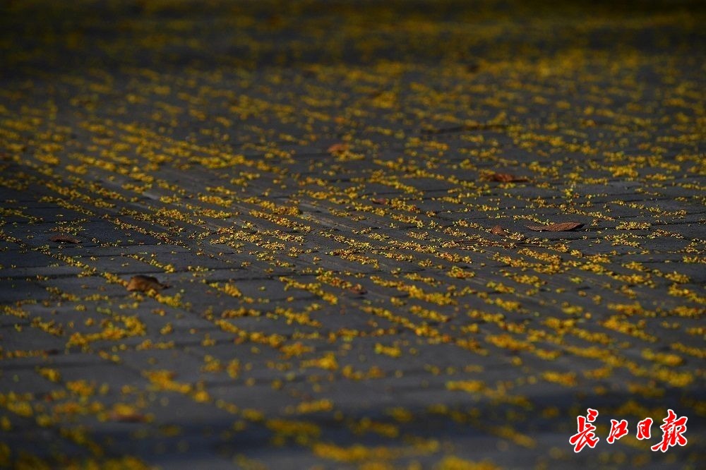 点击查看高清原图