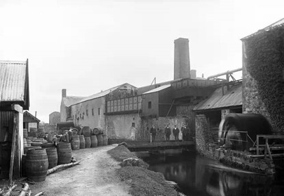 国产威士忌观察1:大家猜一猜威士忌在中国的历史有多少年?