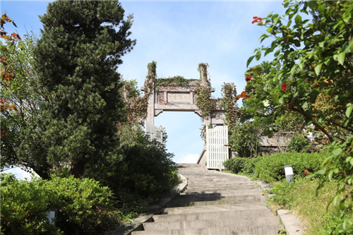 图片 3