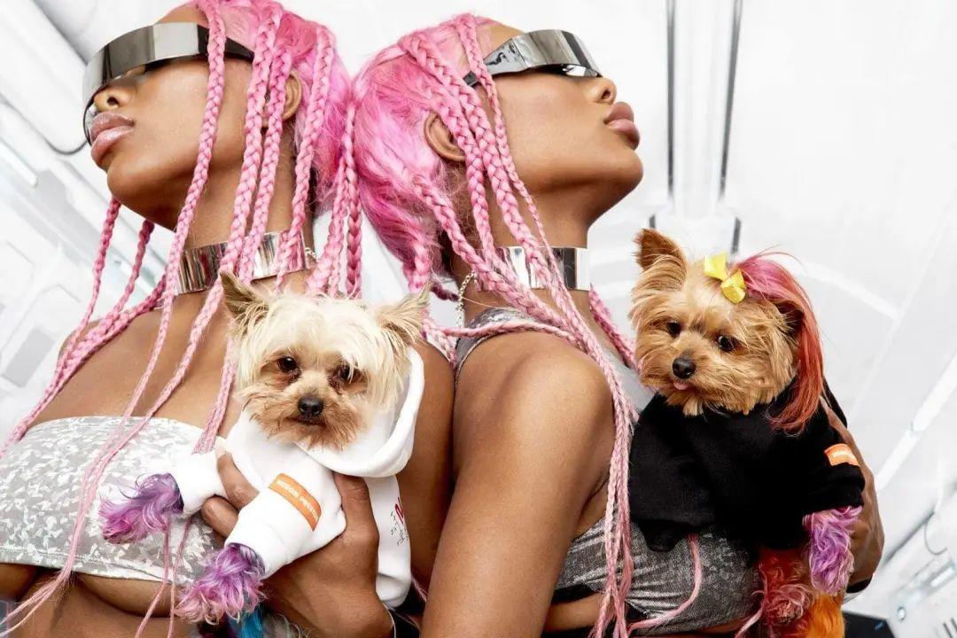 Heron Preston 和 Very Important Puppies 合作系列