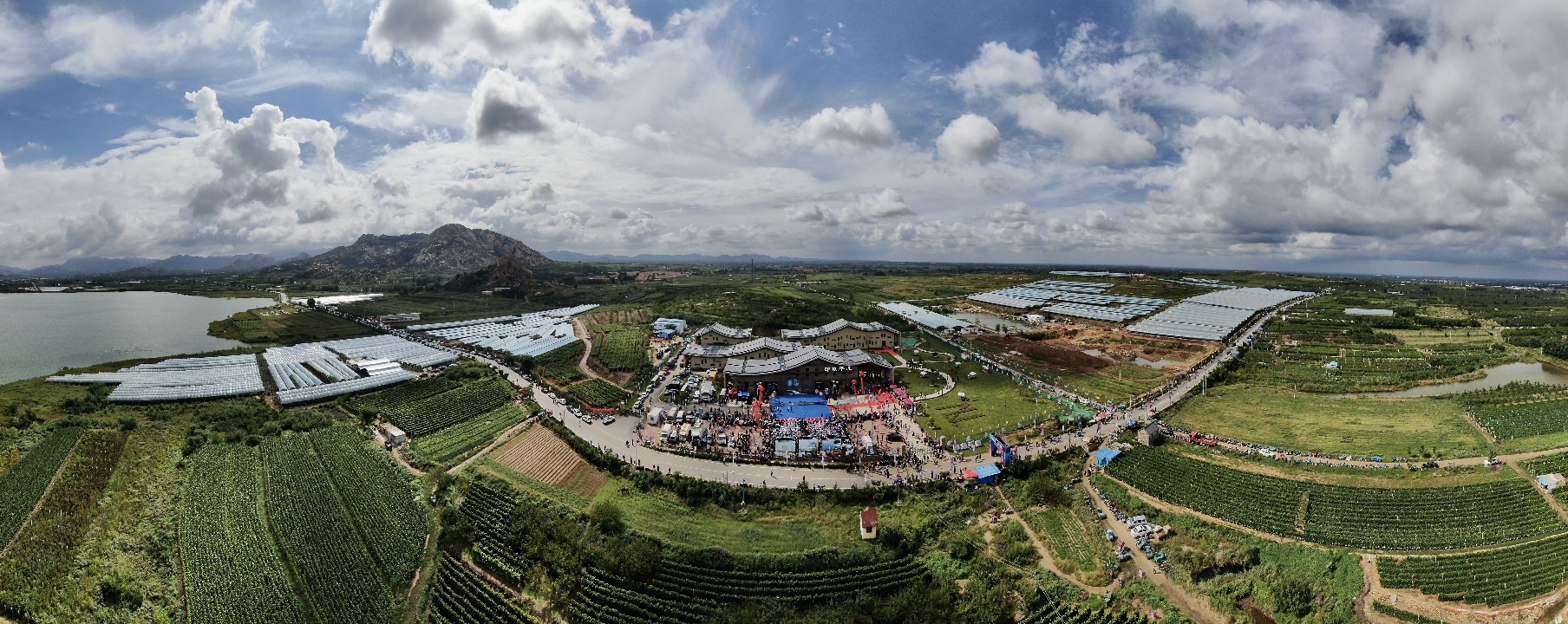 山水会客厅葡萄邀天下第35届中国大泽山葡萄节白露开幕