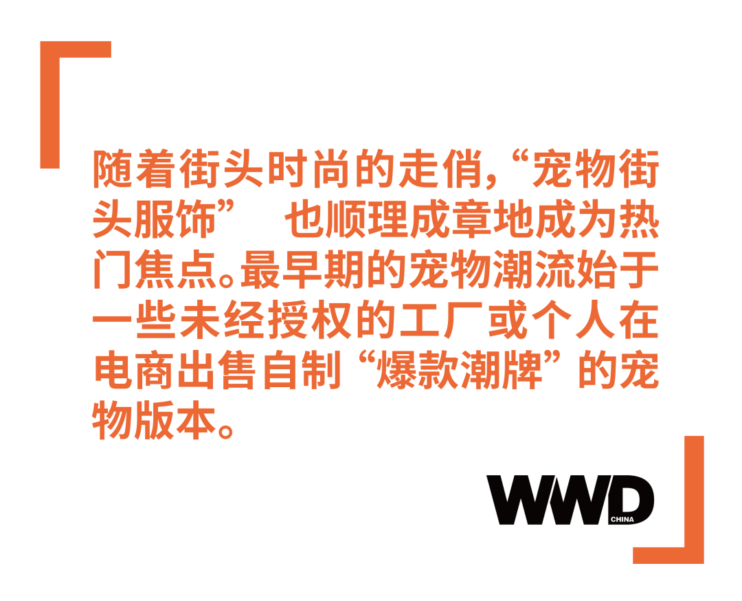 深度报道 | 规模超百亿的“宠物时尚”市场，比设计更重要的是人性