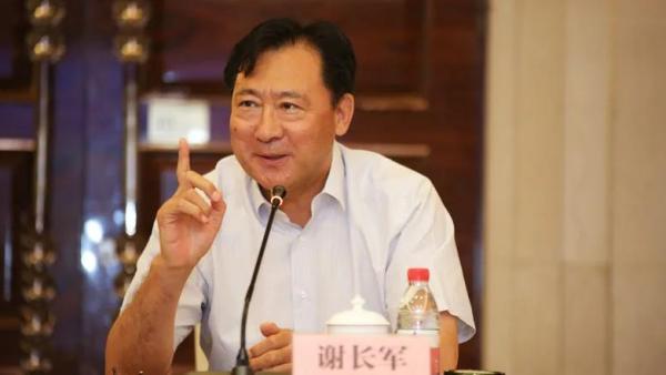 原中国国电集团副总经理谢长军被逮捕，涉为亲友非法牟利罪等