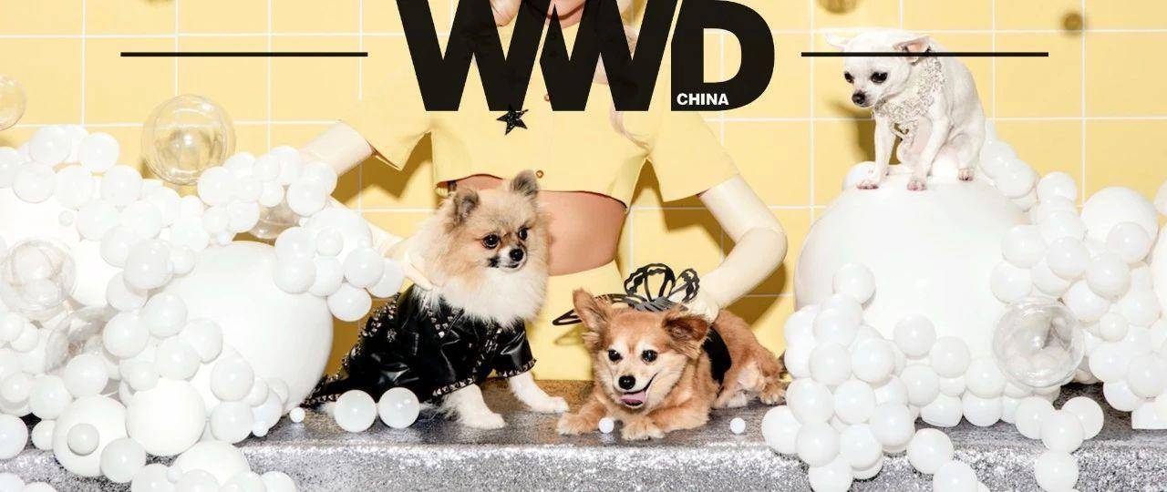 “宠物经济”并不是什么新鲜词汇。