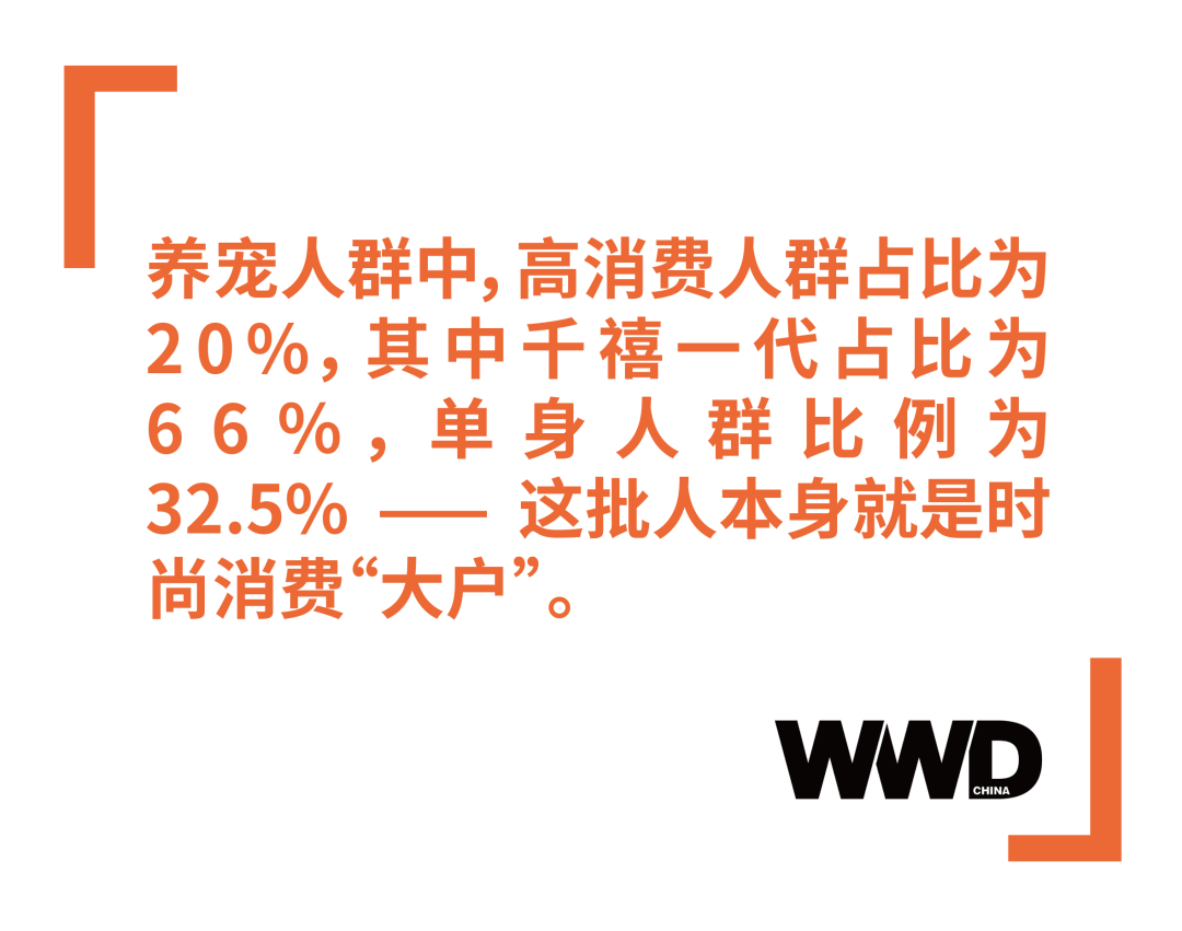 深度报道 | 规模超百亿的“宠物时尚”市场，比设计更重要的是人性