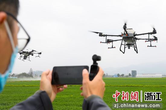 无人机播洒农药。  张昊桦 摄