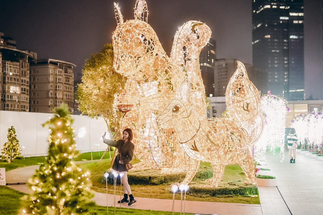 （2020年闪&middot;森寻光之旅）